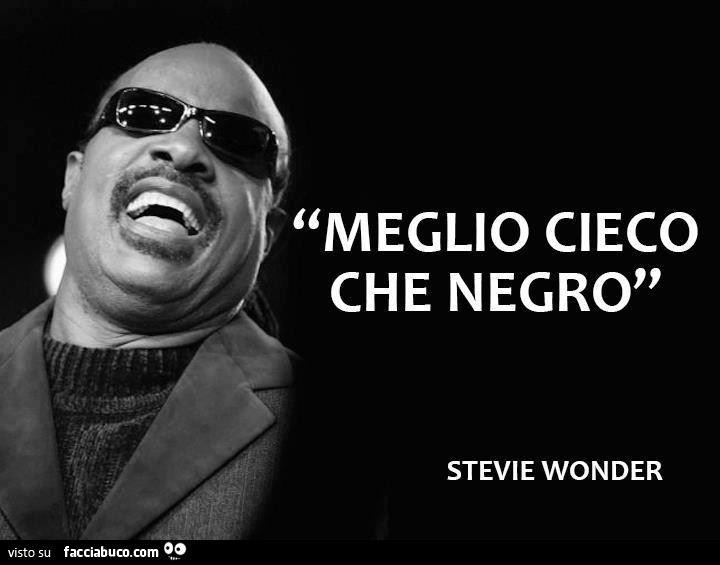 l1upv9klr0-meglio-cieco-che-negro-stevie-wonder-satira_b.jpg